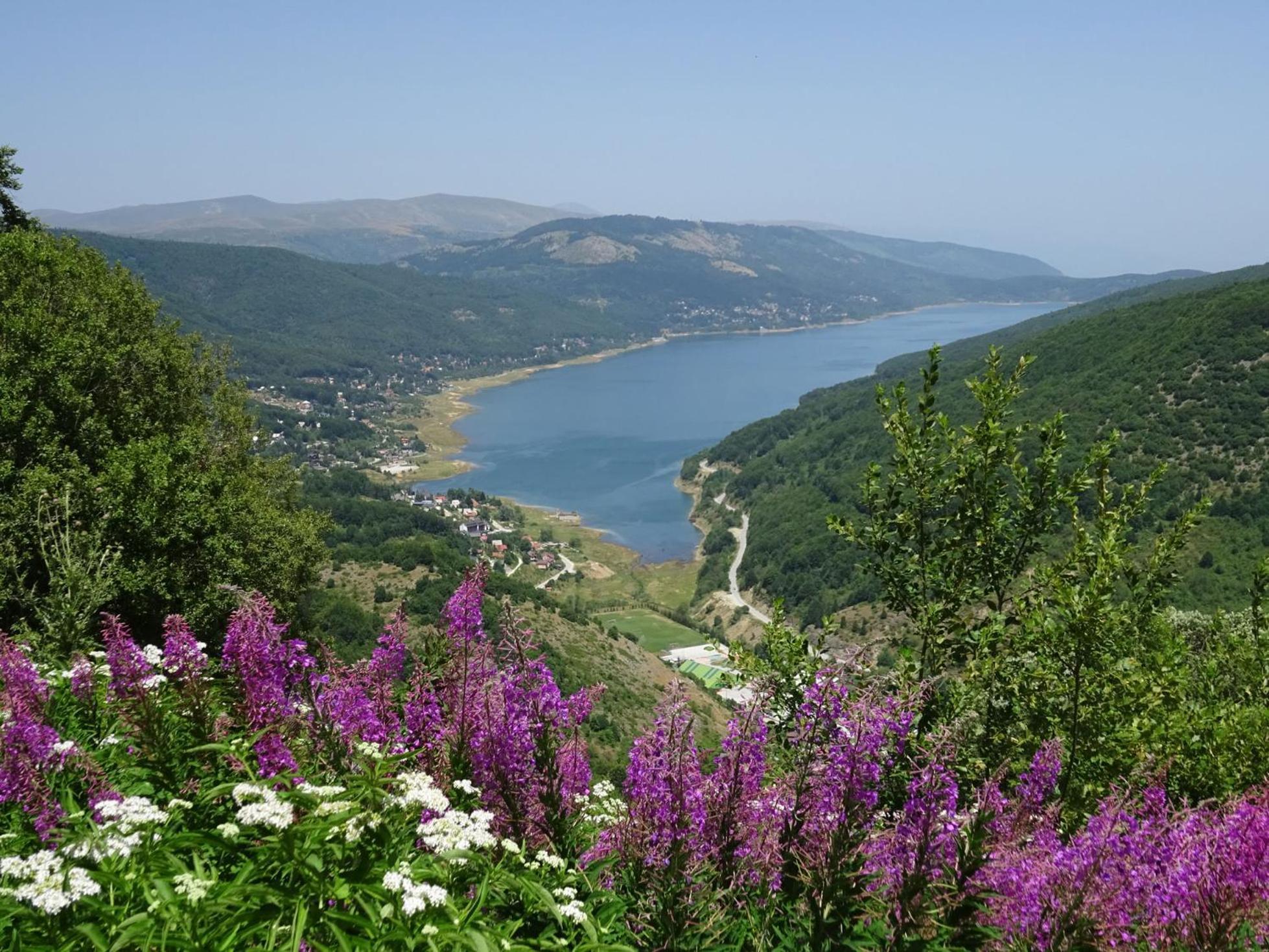 Forest View Apartment Mavrovo Exterior photo